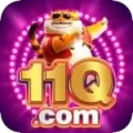 11q VIP Gaming App